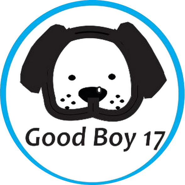 goodboy7.com